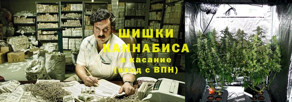 ECSTASY Балахна